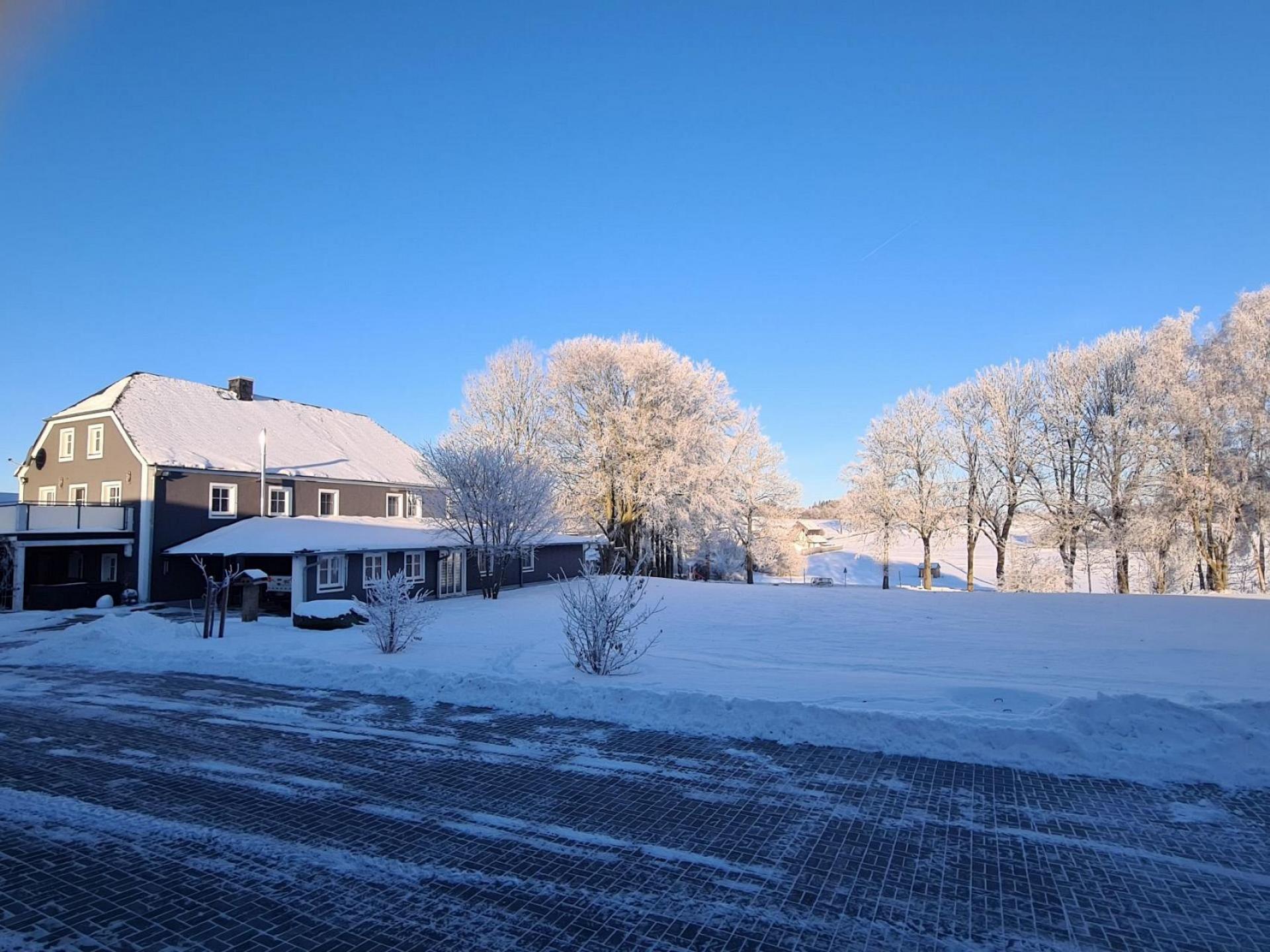 Winter Wonderland